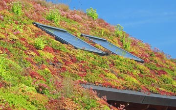 Bloreheath living roof systems