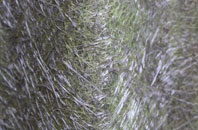 Bloreheath fibreglass roof work